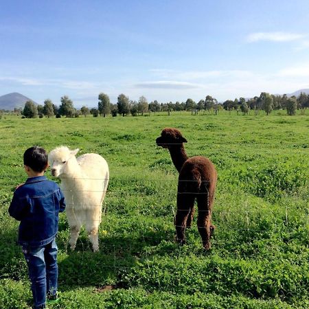 Taras Richmond Farmstay Campania Екстериор снимка